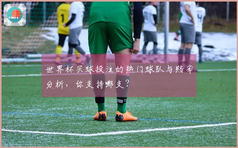 世界杯买球投注的热门球队与赔率分析，你支持哪支？