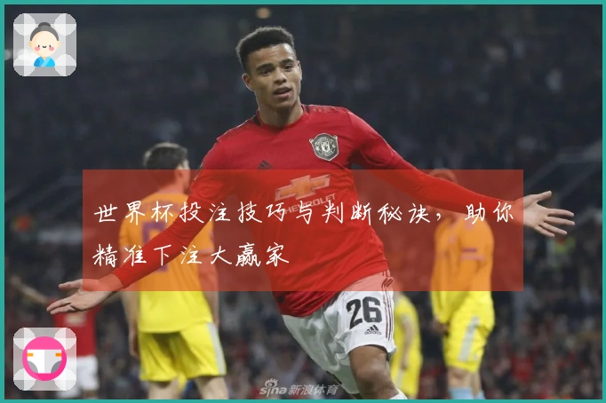 世界杯投注技巧与判断秘诀，助你精准下注大赢家