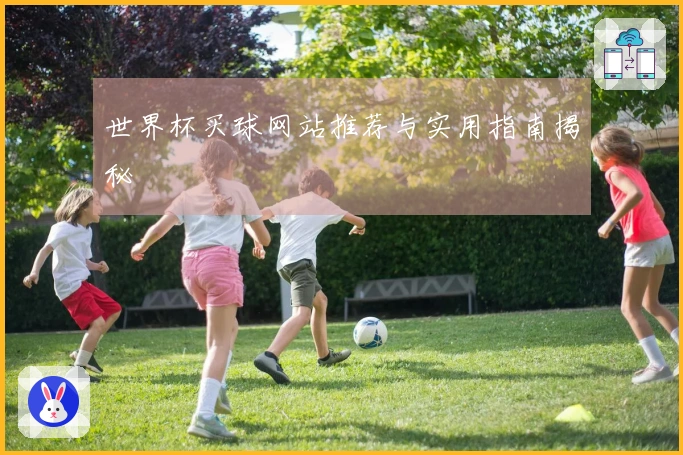 世界杯买球网站推荐与实用指南揭秘